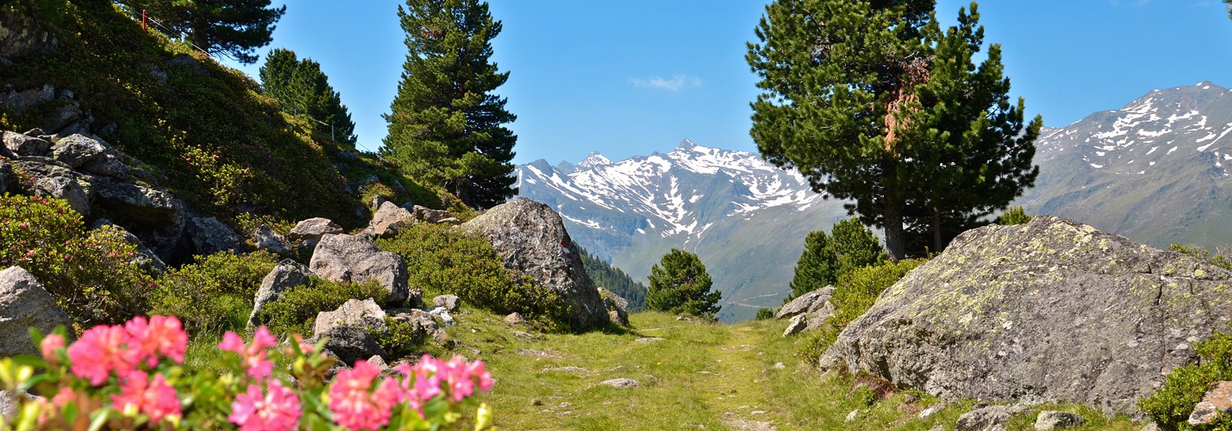 …die einzigartige Tiroler Bergwelt hautnah erleben…